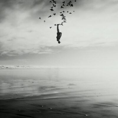 南宫28下载手机版