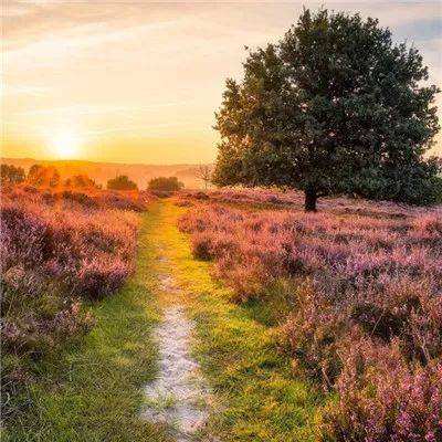 星空体育2024下载下载手机版