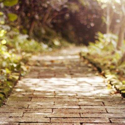 半导综合体育下载